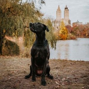 Meet your Posher, Esther